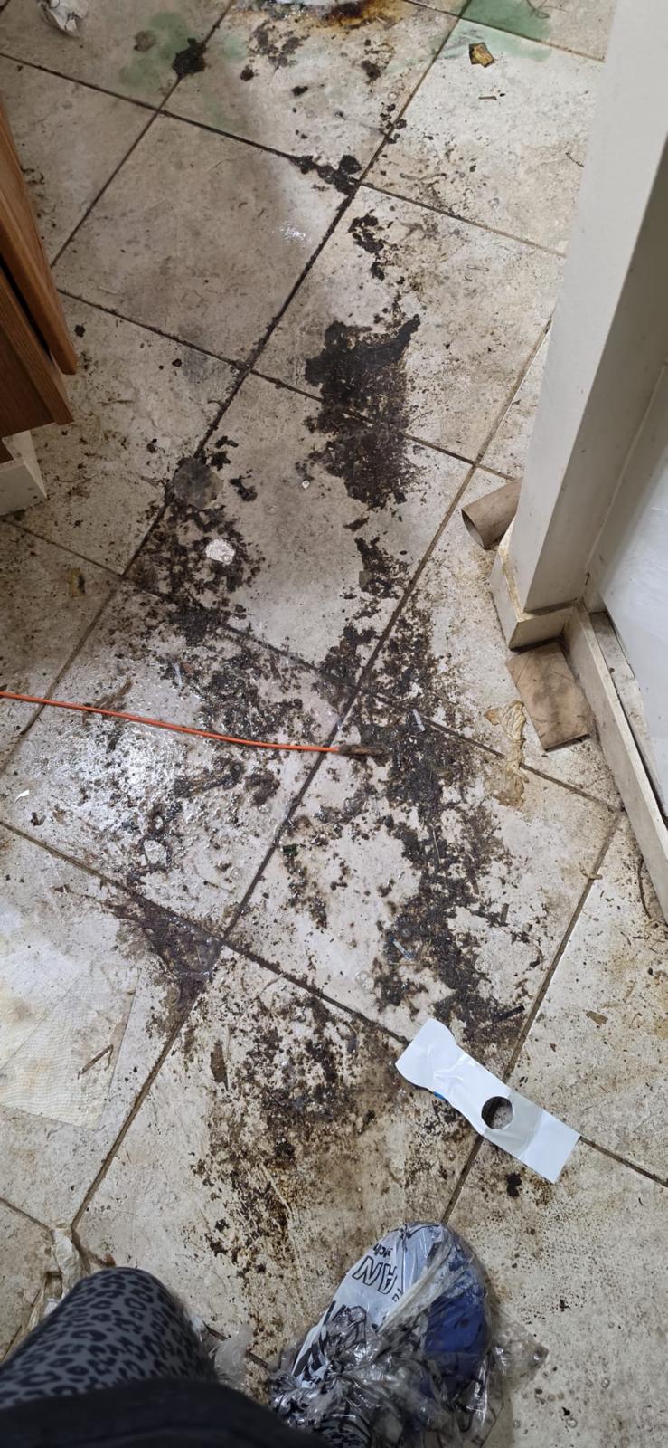 Before cleaning
